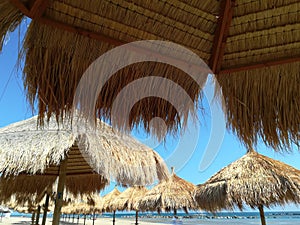 Windy day on the beach