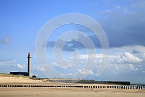 Windy day â€“ coastline in Netherlands