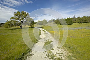 Windy dirt road