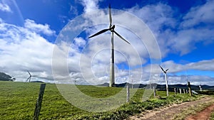 Windy Hill Wind Farm Queensland Australia