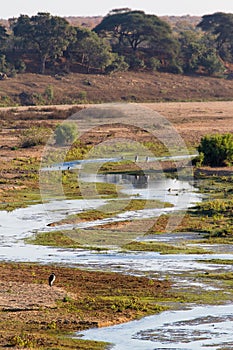 Windy Letaba River Trickle