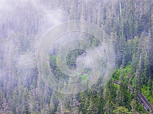 Windy mountain road through a misty forest