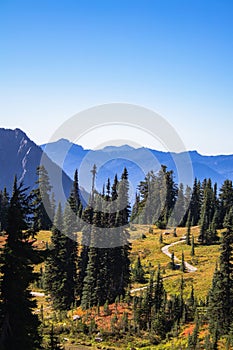 Windy path through Mt Rainier National Park