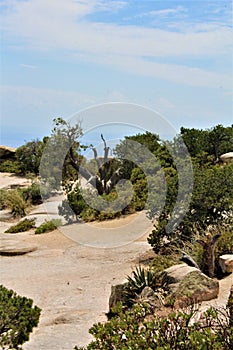 Windy Point Vista, Mount Lemmon, Santa Catalina Mountains, Lincoln National Forest, Tucson, Arizona, United States