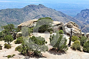 Windy Point Vista, Mount Lemmon, Santa Catalina Mountains, Lincoln National Forest, Tucson, Arizona, United States