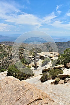Windy Point Vista, Mount Lemmon, Santa Catalina Mountains, Lincoln National Forest, Tucson, Arizona, United States