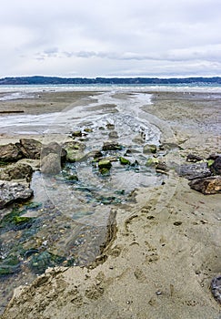 Windy Puget Sound Shoreline 2