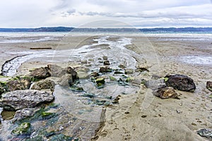 Windy Puget Sound Shoreline