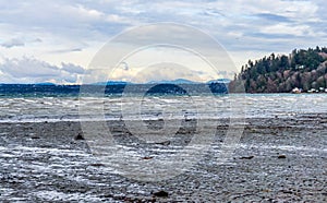 Windy Puget Sound Shoreline 6