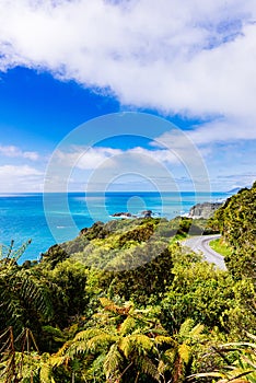 A windy road along the coast of New Zealand