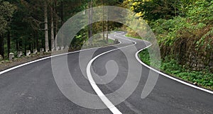 Windy road in the forest