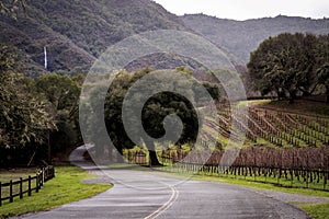 Windy Roads through Wine Country