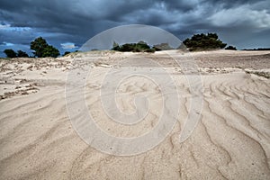 Windy sand texture on dune