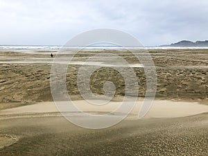 Windy Sandy Beach in Oregon