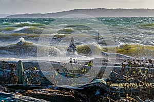 Windy Shoreline Waves 2