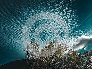 Windy Sky Full of Disperse Clouds