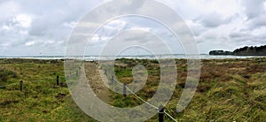 A windy summer`s day along the beaches with the long grass blowing and kite surfers enjoying the wind on the open ocean in Orewa