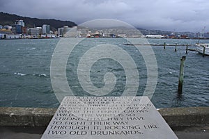 Windy Wellington