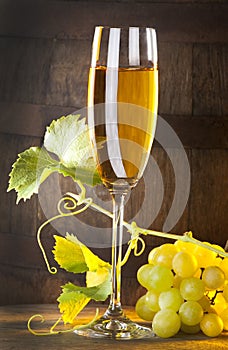 Vino 