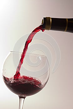 Wine photo