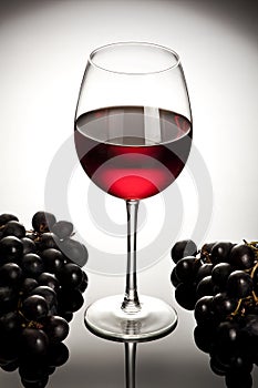 Vino 