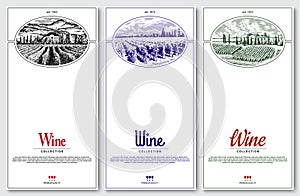 Wine collection card design. Vineyard lanscapes. Vector illustration.