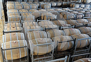 Wine aging in barrels