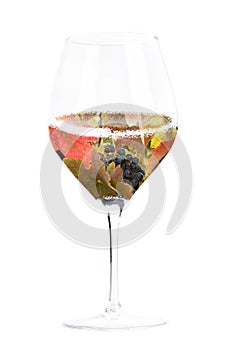 Wine, autumn harvest concept. Vineyard in a glass collage, isolated