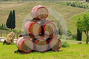 Wine barrel photo