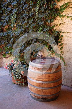 Wine barrel