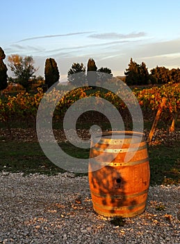 Wine barrel in the alley with vineyards in the background
