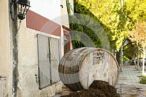 Wine Barrel - Cafayate - Argentina