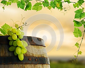 Wine barrel with img