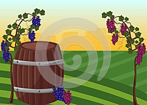 Wine barrel and grapes Vector background