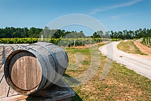 Wine barrel near a winery in Prince Edward County, ON, Canada photo