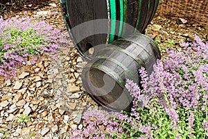 Wine barrel img