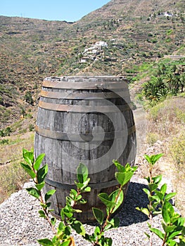 Wine barrel