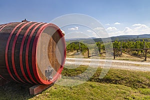 Wine barrel in vineyard, Tuscany, Italy