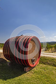 Wine barrel in vineyard, Tuscany, Italy