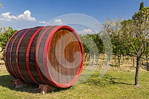 Wine barrel in vineyard, Tuscany, Italy