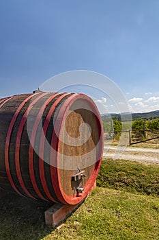 Wine barrel in vineyard, Tuscany, Italy