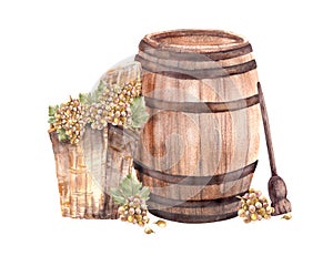 Wine barrel with wicker basket, crusher, leaves, grapes harvest. Watercolor hand draw illustration