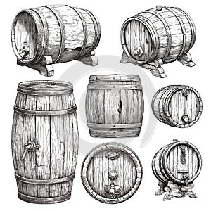 wine barrel. wine grapes drink sketch drawing engraving ink line art, vector illustration photo