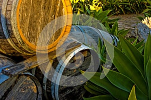 Wine Barrels