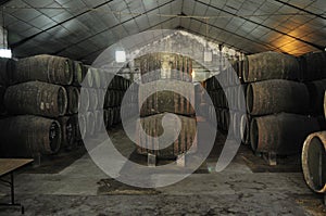 Wine barrels