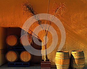 Wine Barrels