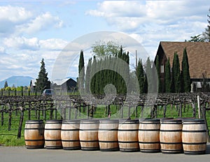 Wine barrels