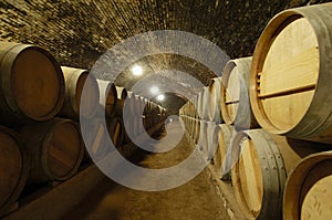 Wine Barrels photo