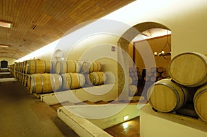 Wine Barrels photo