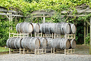 Wine Barrels